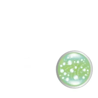 Activlab SanBiotics IBS probiotyk 20 kaps. — zdjęcie 1